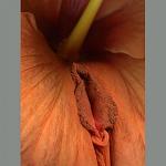     
: 1759330_232f2b62.jpg
: 18
:	23.2 
ID:	704640