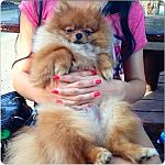     
: IMG_4792.JPG
: 8
:	281.1 
ID:	7047127