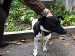     
: IMG_6753.jpg
: 3
:	230.0 
ID:	7048420