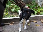     
: IMG_6754.jpg
: 7
:	250.1 
ID:	7048422