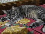     
: IMG_5108.jpg
: 3
:	146.1 
ID:	7050586