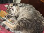     
: IMG_5099.jpg
: 3
:	174.4 
ID:	7050587