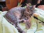     
: IMG_5094.jpg
: 2
:	117.1 
ID:	7050588