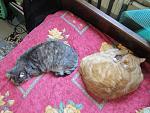     
: IMG_5097.jpg
: 4
:	176.2 
ID:	7050593