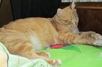     
: IMG_5093.jpg
: 3
:	102.3 
ID:	7050595