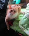     
: IMG_5091.jpg
: 3
:	69.0 
ID:	7050596