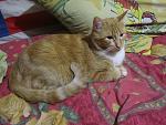     
: IMG_5106.jpg
: 3
:	145.0 
ID:	7050601