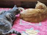     
: IMG_5096.jpg
: 5
:	141.1 
ID:	7050602
