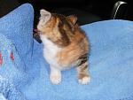     
: P5170208.jpg
: 4
:	127.7 
ID:	7052057