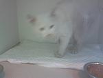     
: DSC_0108.jpg
: 7
:	55.8 
ID:	7052539