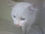     
: DSC_0103.jpg
: 7
:	54.6 
ID:	7052540