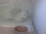     
: DSC_0101.jpg
: 8
:	54.5 
ID:	7052541