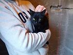     
: IMG_20131019_163239.jpg
: 11
:	135.5 
ID:	7057839