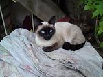     
: фрося дочка.jpg
: 8
:	55.2 
ID:	7058611