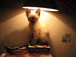     
: фрося в детстве.jpg
: 6
:	44.9 
ID:	7058612