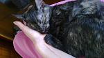     
: 20102013148.jpg
: 7
:	129.2 
ID:	7059427