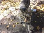     
: Photo1067.jpg
: 17
:	244.9 
ID:	7062539