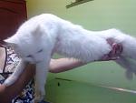     
: DSC_0124.jpg
: 15
:	73.1 
ID:	7063168