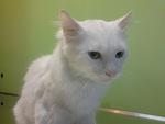     
: DSC_0121.jpg
: 27
:	52.4 
ID:	7063169