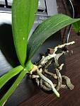     
: DSC05309.jpg
: 9
:	90.1 
ID:	7063314