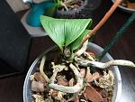     
: DSC05303.jpg
: 11
:	130.6 
ID:	7063318