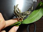     
: DSC05306.jpg
: 8
:	107.3 
ID:	7063321