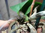     
: DSC05302.jpg
: 10
:	130.1 
ID:	7063324
