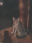     
: 20131020-202336.jpg
: 5
:	40.3 
ID:	7063932