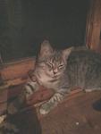     
: 20131020-202312.jpg
: 8
:	42.5 
ID:	7063933