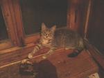     
: 20131020-202302.jpg
: 5
:	62.6 
ID:	7063934