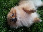     
: IMG_20130913_142555.jpg
: 8
:	172.4 
ID:	7065379