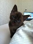    
: IMG_7034.jpg
: 4
:	69.7 
ID:	7066486