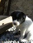     
: P9080405.jpg
: 18
:	85.4 
ID:	7069106