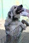     
: gromai_500.jpg
: 16
:	33.5 
ID:	7069324