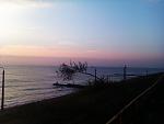     
: IMAG1666.jpg
: 13
:	77.7 
ID:	7072274