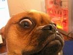     
: 2013-10-22_131926.jpg
: 25
:	27.0 
ID:	7072592
