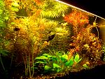     
: Изображение 013.jpg
: 11
:	217.6 
ID:	7074023