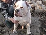     
: IMG_7963.jpg
: 16
:	206.5 
ID:	7076474