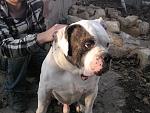     
: IMG_7961.jpg
: 21
:	193.8 
ID:	7076476