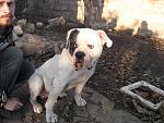     
: IMG_7956.jpg
: 14
:	203.1 
ID:	7076479