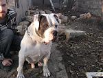     
: IMG_7958.jpg
: 16
:	216.2 
ID:	7076481
