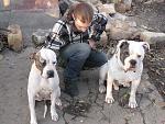     
: IMG_7964.jpg
: 15
:	207.3 
ID:	7076482