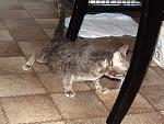     
: DSC00459.jpg
: 15
:	173.9 
ID:	7078117