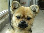     
: DSCN3177.JPG
: 10
:	246.5 
ID:	7078980