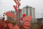     
: IMG_5048.jpg
: 25
:	96.8 
ID:	7079422