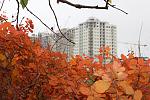     
: IMG_5051.jpg
: 29
:	153.6 
ID:	7079432