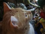     
: IMG_5123.jpg
: 9
:	103.2 
ID:	7089279