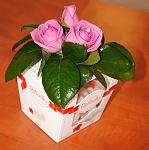     
: 0_dec54_44801211_-1-L.jpg
: 10
:	64.5 
ID:	7091728