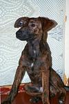     
: DSC_0295 1y.jpg
: 4
:	68.3 
ID:	7098258