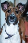     
: DSC_02941.jpg
: 7
:	55.1 
ID:	7098272